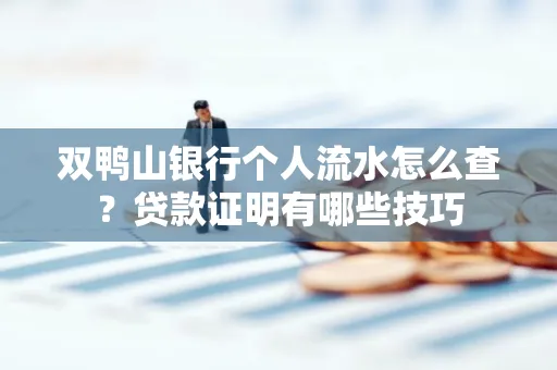 双鸭山银行个人流水怎么查?贷款证明有哪些技巧