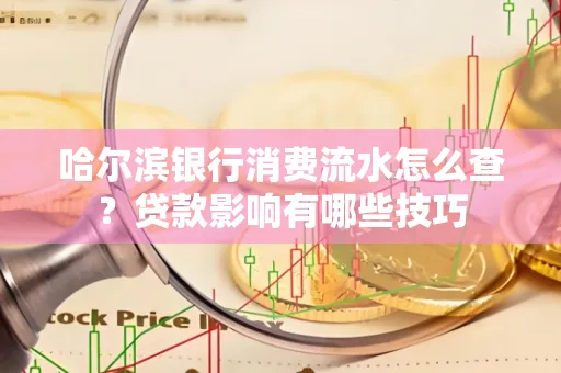 哈尔滨银行消费流水怎么查？贷款影响有哪些技巧